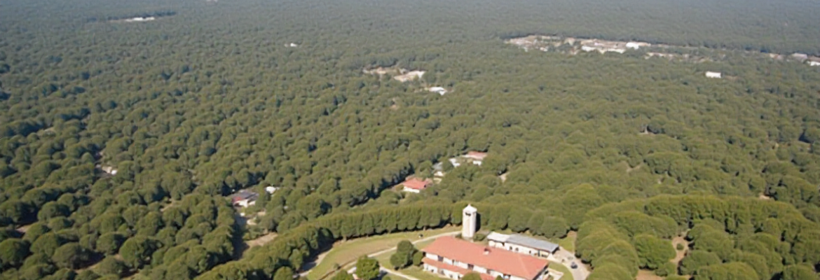 Estudos De Caso: Obras De Fundações No Brasil